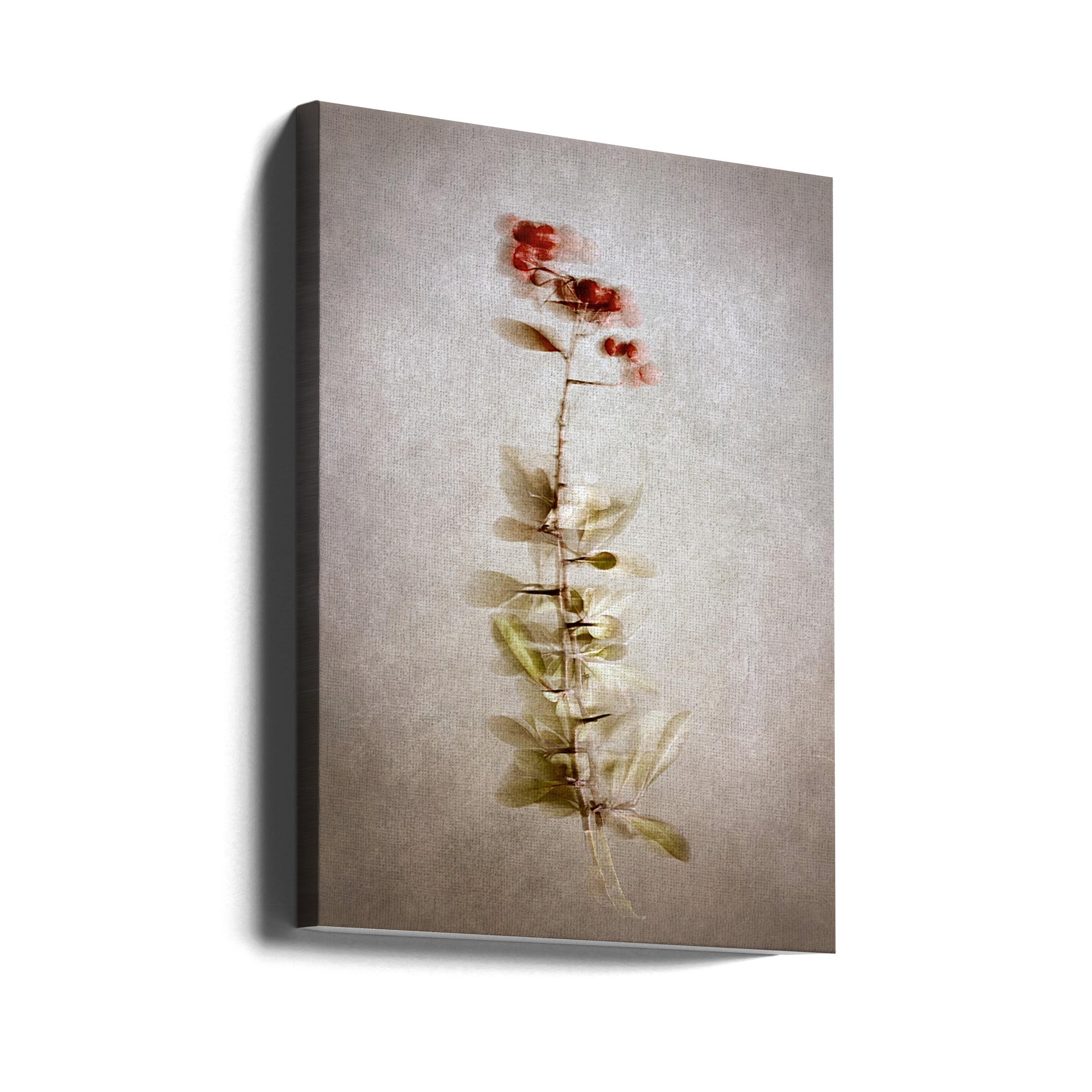 Wall Art "Exposed" by Cicek Kiral-Canvas Print-DECOROLALA