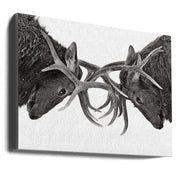 Wall Art Eye to Eye - Elk Fight by Jim Cumming-Canvas Print-DECOROLALA
