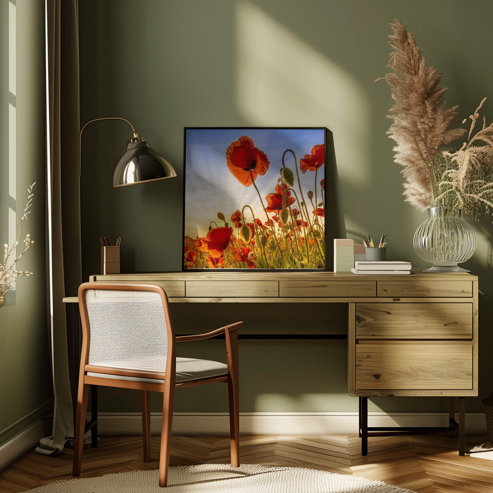Wall Art Fascinating Poppies by Melanie Viola-canvas-DECOROLALA