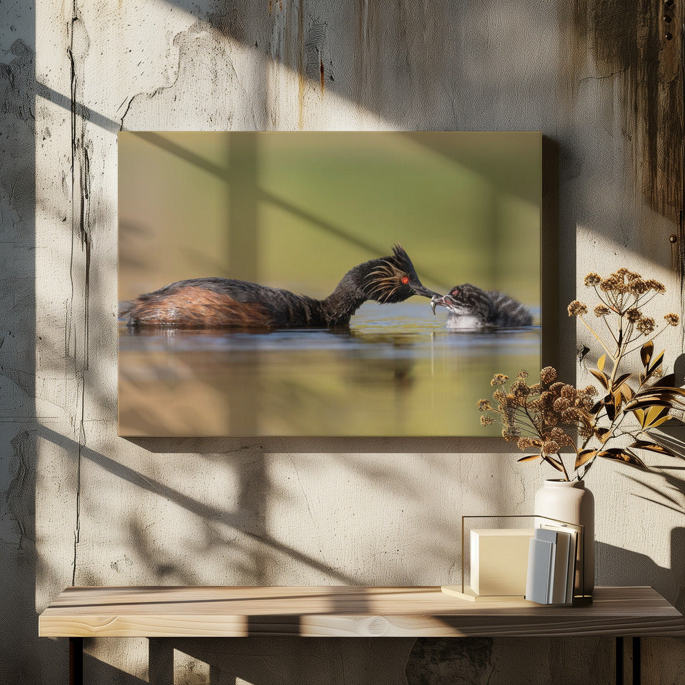 Wall Art Feeding by Ling Zhang-Canvas Print-DECOROLALA
