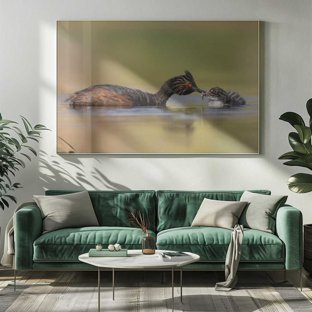 Wall Art Feeding by Ling Zhang-Canvas Print-DECOROLALA