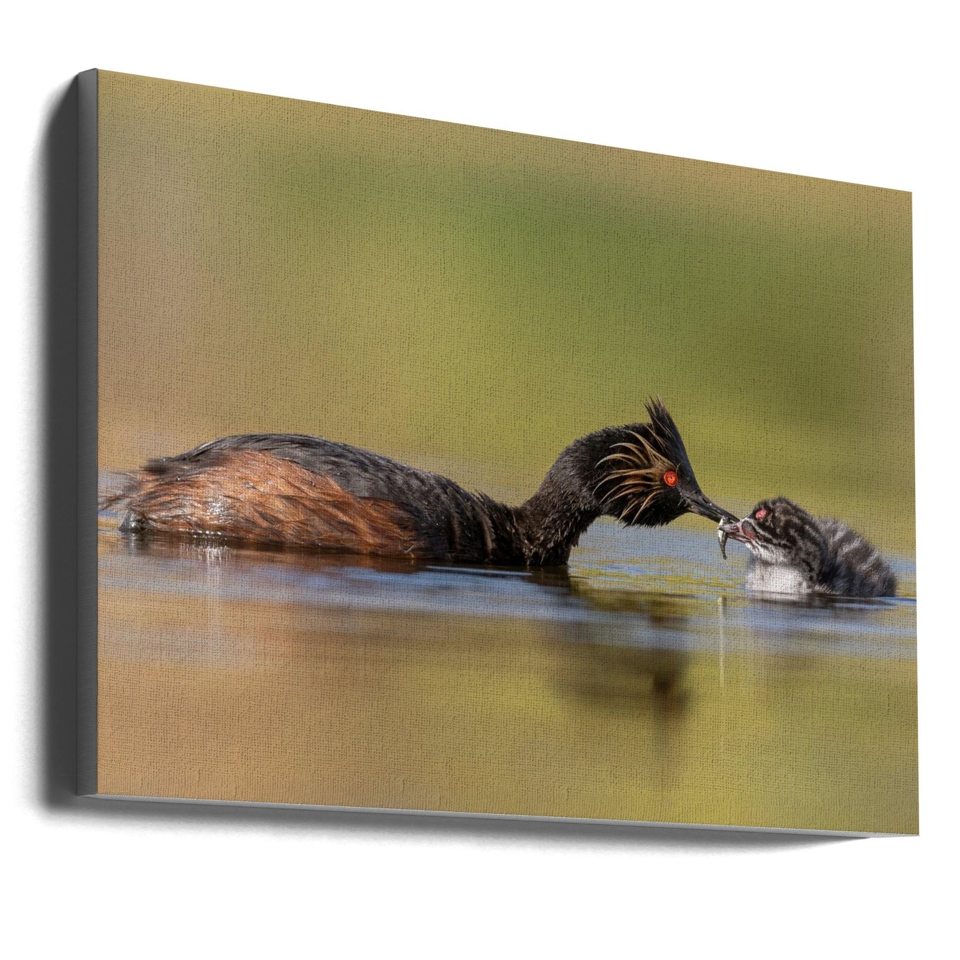 Wall Art Feeding by Ling Zhang-Canvas Print-DECOROLALA