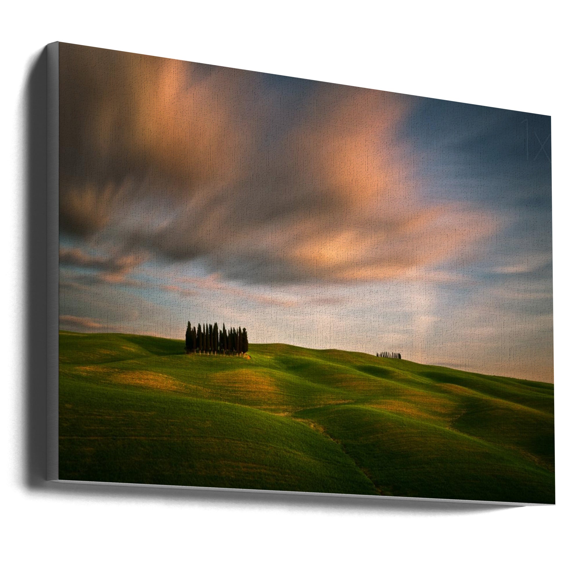 Wall Art Fields by Krzysztof Browko-Canvas Print-DECOROLALA