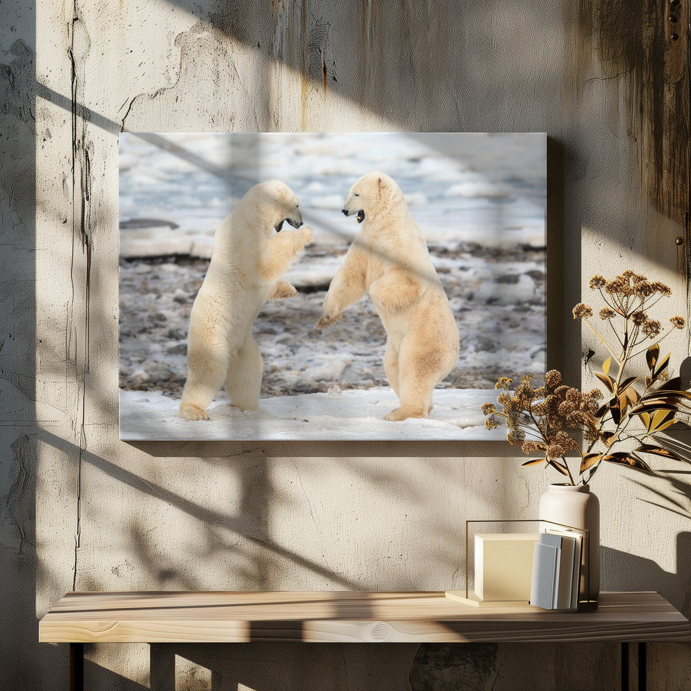 Wall Art Fight by Alessandro Catta-Canvas Print-DECOROLALA