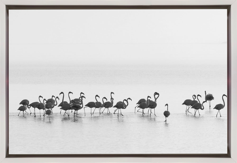 Wall Art Flamingos by Joan Gil Raga-Canvas Print-DECOROLALA