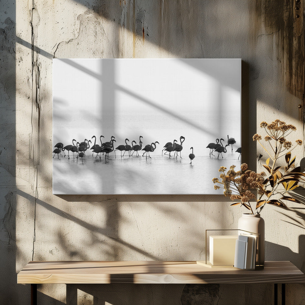 Wall Art Flamingos by Joan Gil Raga-Canvas Print-DECOROLALA
