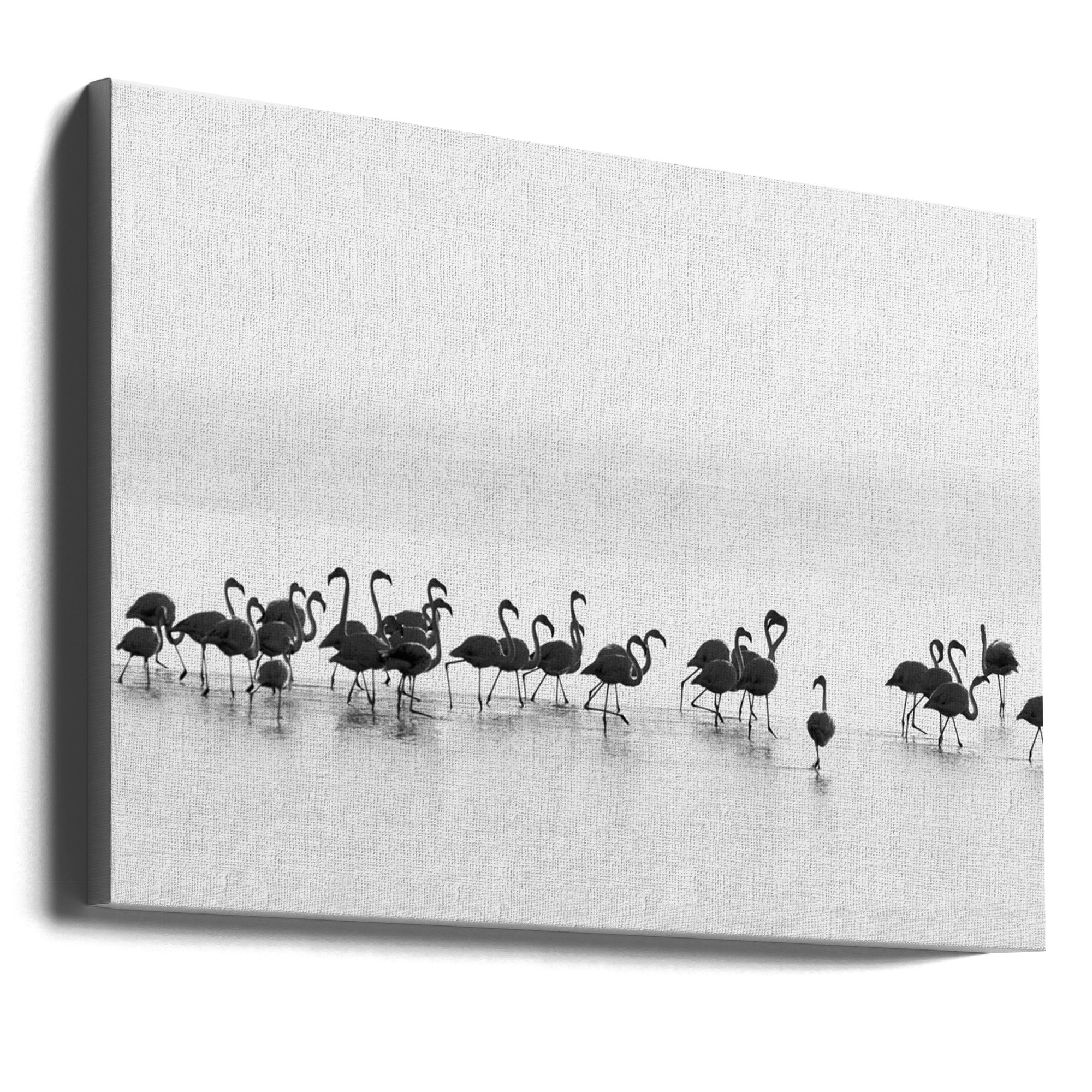 Wall Art Flamingos by Joan Gil Raga-Canvas Print-DECOROLALA