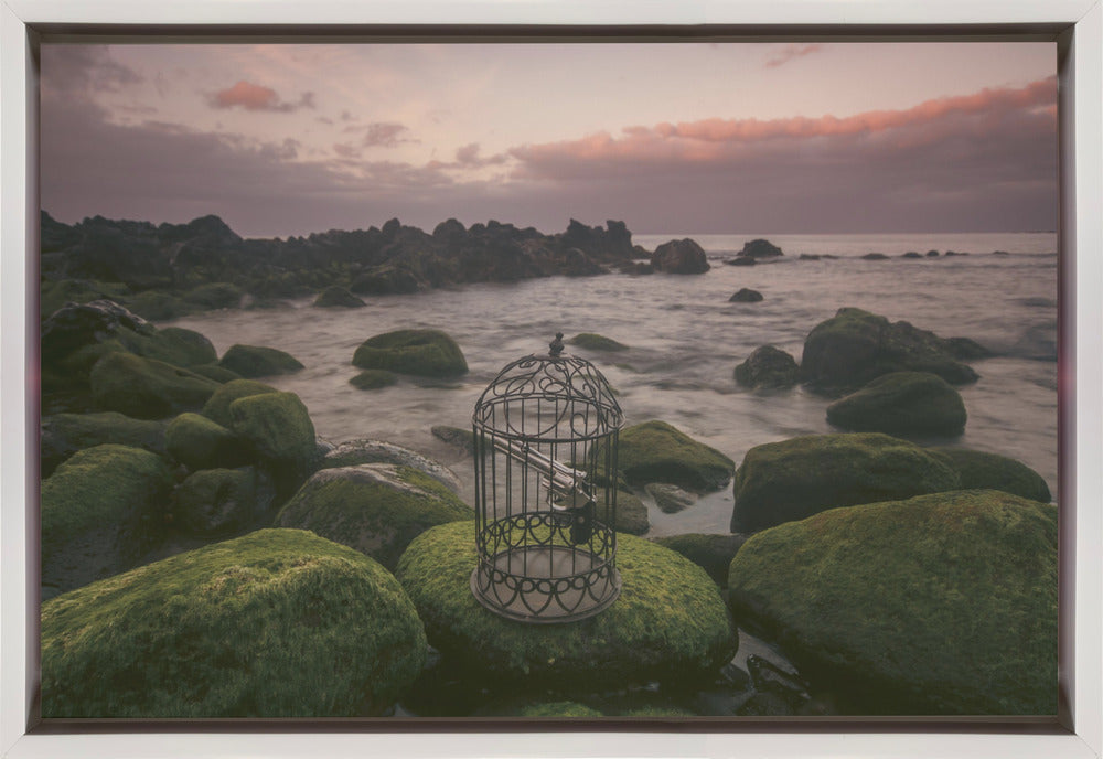 Wall Art Free Yourself by Paulo Jorge-Canvas Print-DECOROLALA