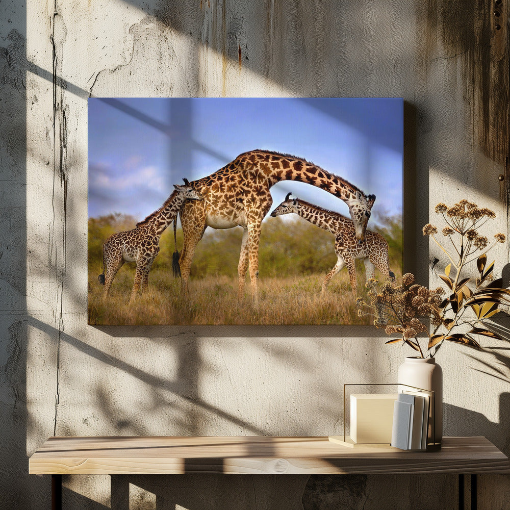 Wall Art Giraffe with Cubs by Xavier Ortega-Canvas Print-DECOROLALA