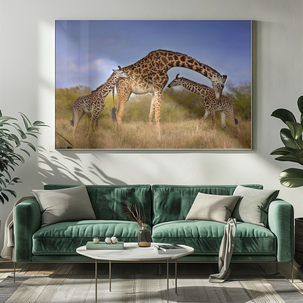 Wall Art Giraffe with Cubs by Xavier Ortega-Canvas Print-DECOROLALA