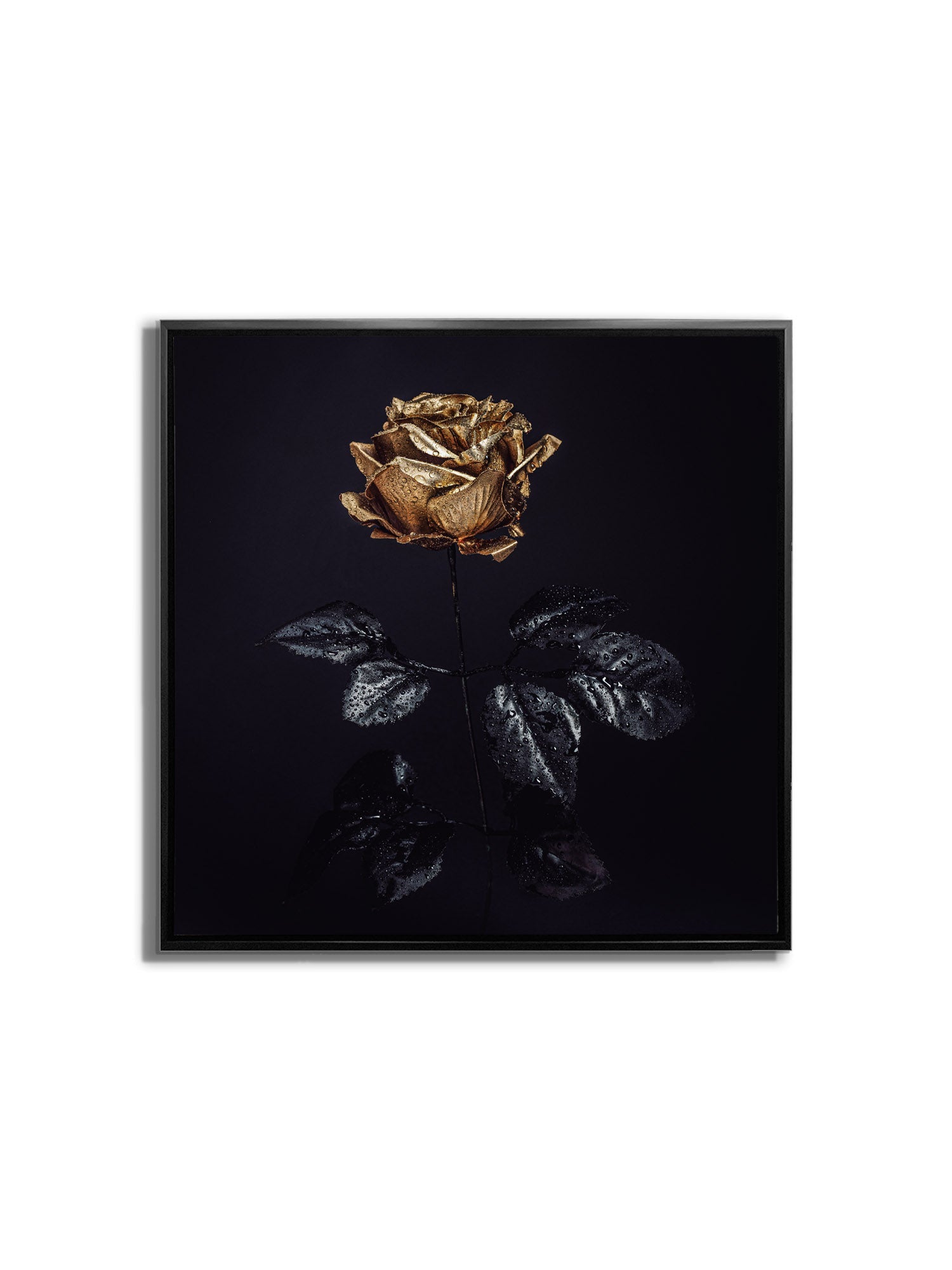 Wall Art Gold Rose Canvas Print 36x36-Wall Art-DECOROLALA