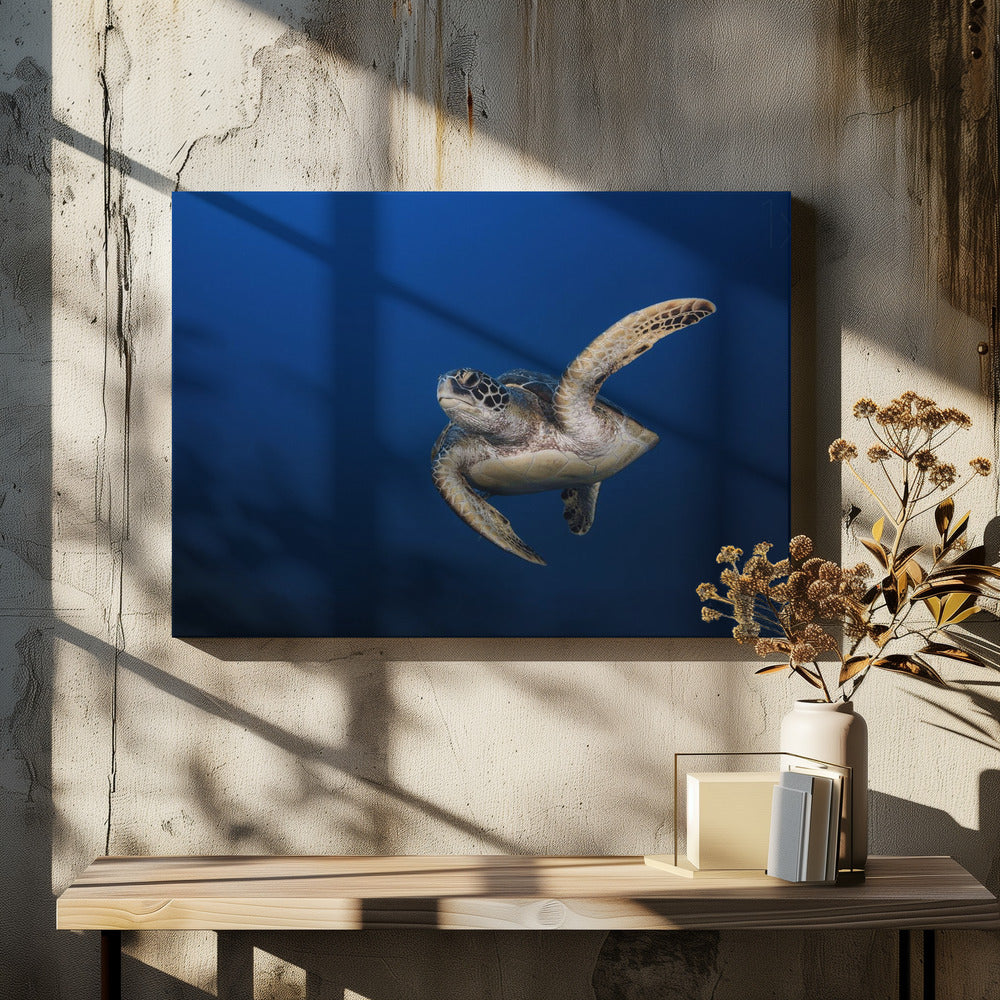 Wall Art Green Turtle By Barathieu Gabriel-Canvas Print-DECOROLALA