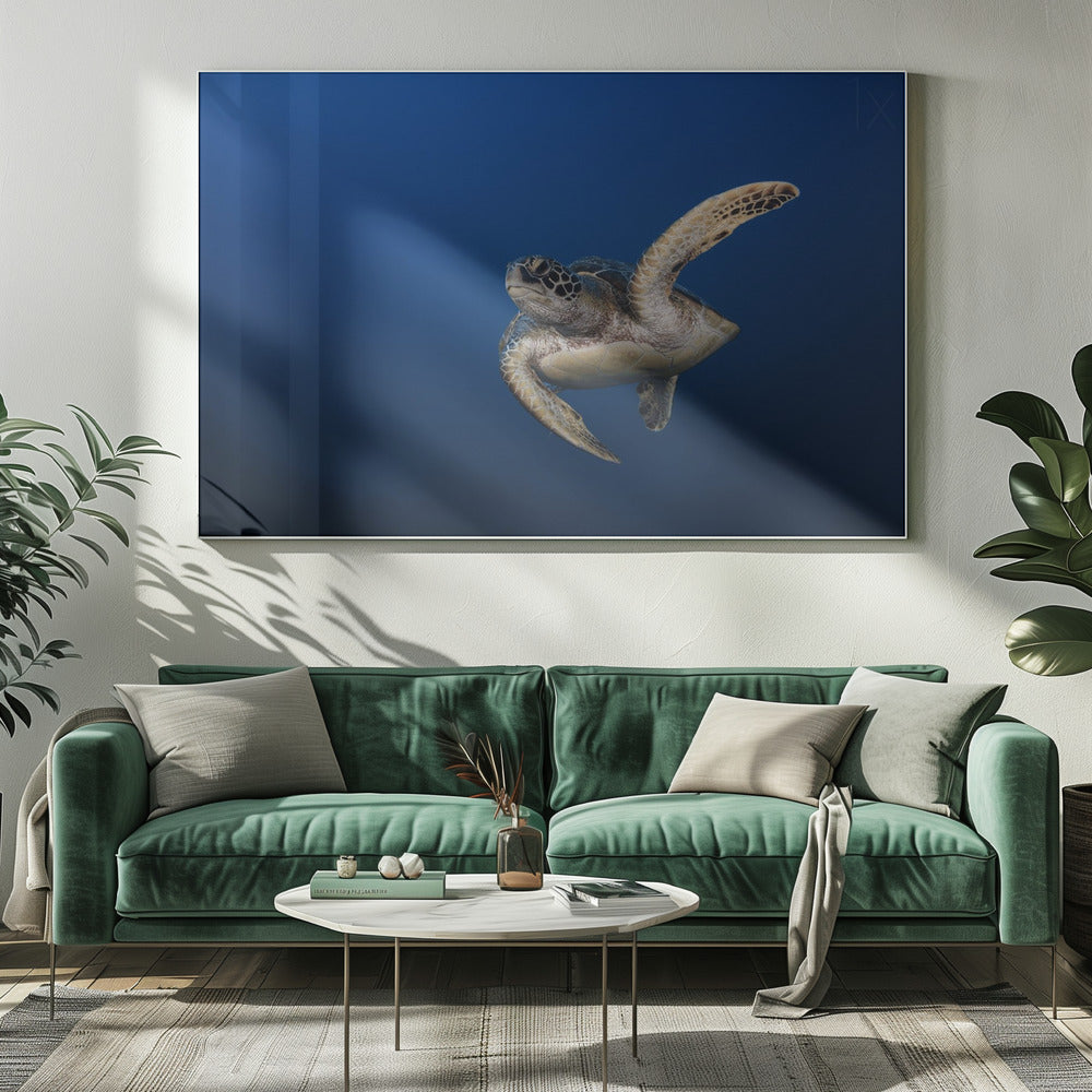 Wall Art Green Turtle By Barathieu Gabriel-Canvas Print-DECOROLALA