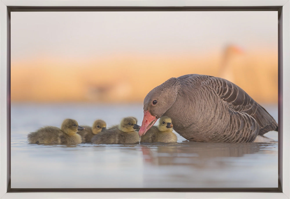 Wall Art Happy Family by Jie Fischer-Canvas Print-DECOROLALA