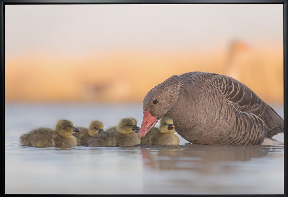 Wall Art Happy Family by Jie Fischer-Canvas Print-DECOROLALA