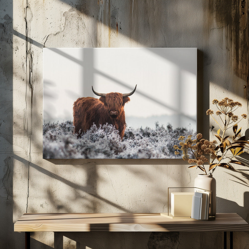 Wall Art Highlander by Jaap van den Helm-canvas-DECOROLALA