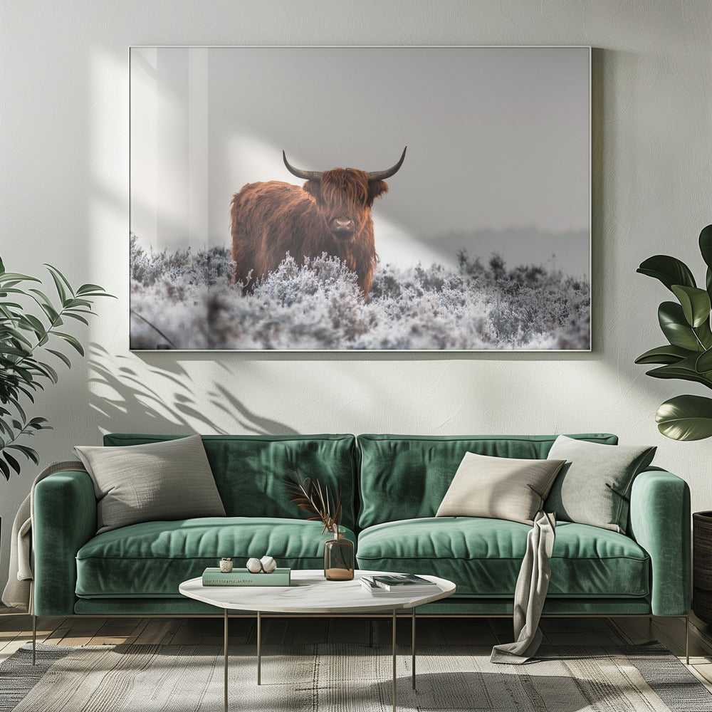 Wall Art Highlander by Jaap van den Helm-canvas-DECOROLALA