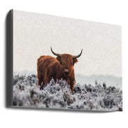 Wall Art Highlander by Jaap van den Helm-canvas-DECOROLALA