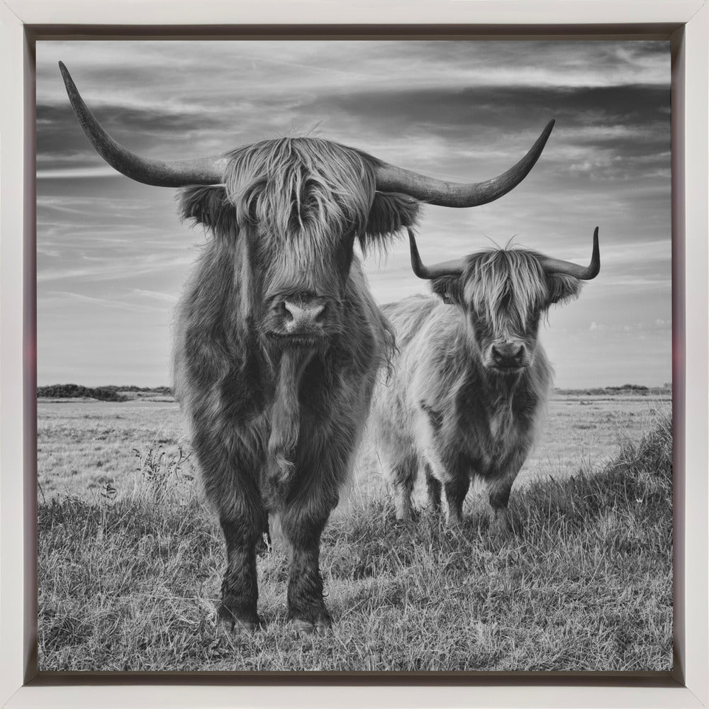 Wall Art Highlands by Stephane Pecqueux-Canvas Print-DECOROLALA