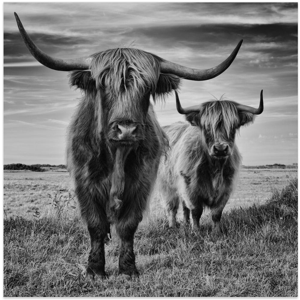 Wall Art Highlands by Stephane Pecqueux-Canvas Print-DECOROLALA