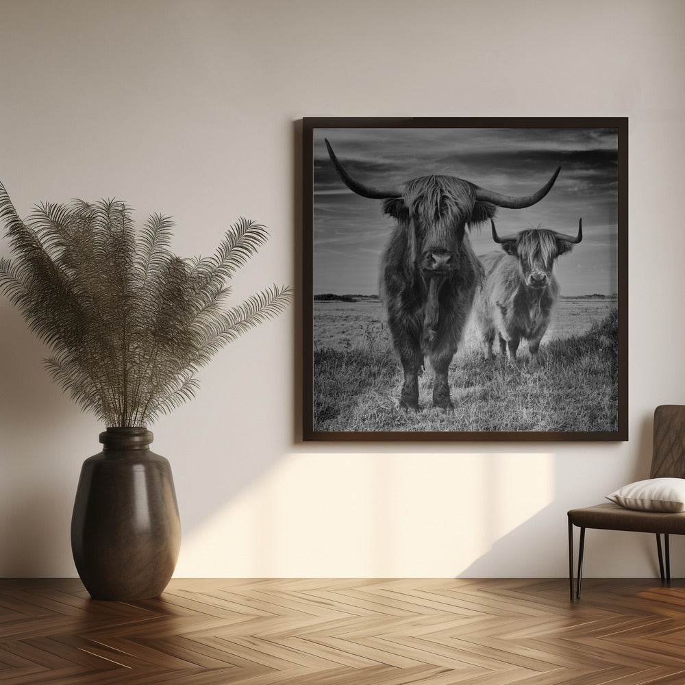Wall Art Highlands by Stephane Pecqueux-Canvas Print-DECOROLALA