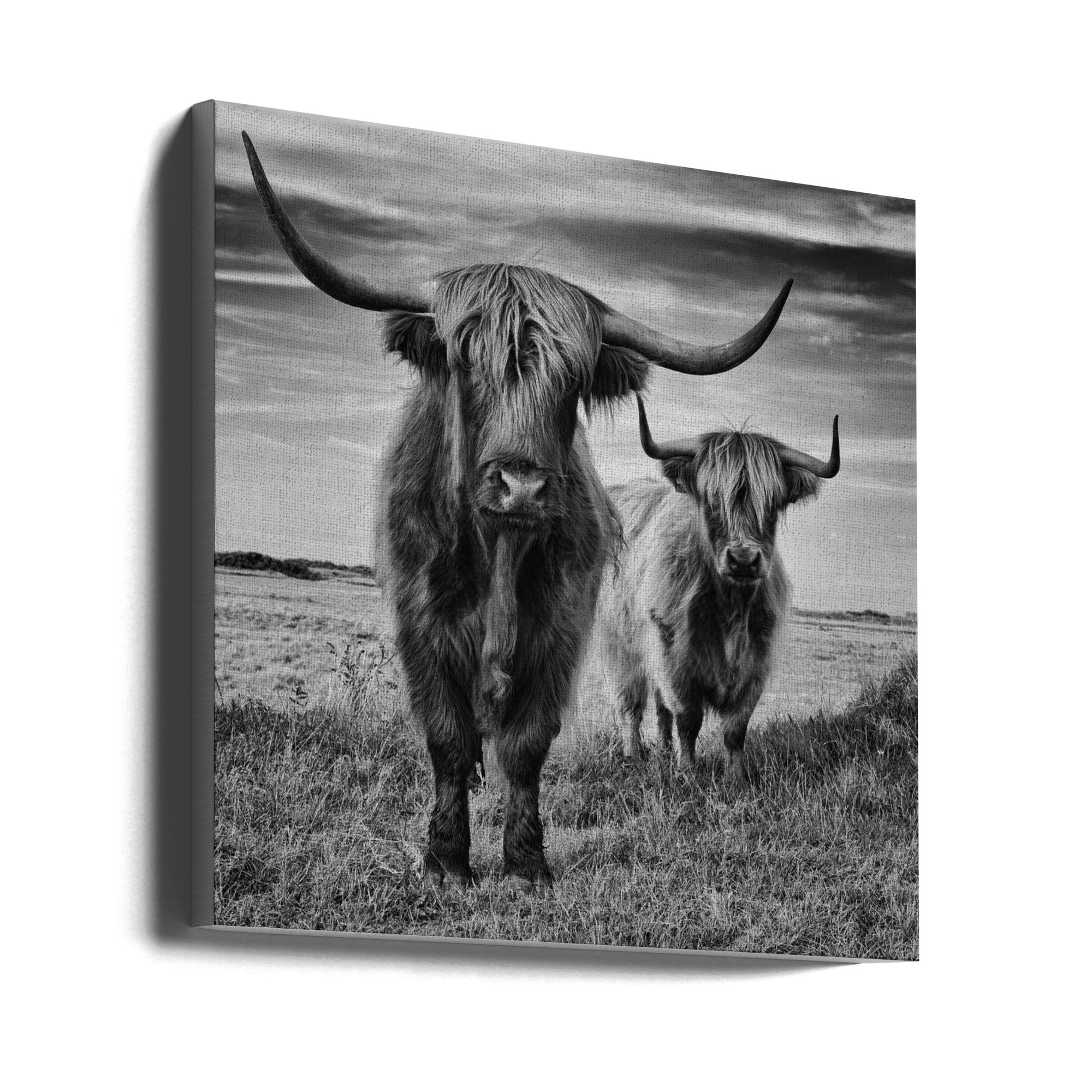 Wall Art Highlands by Stephane Pecqueux-Canvas Print-DECOROLALA