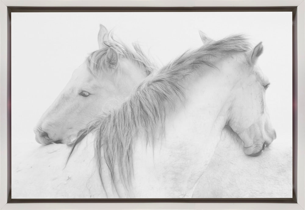Wall Art Horses by Marie-anne Stas-canvas-DECOROLALA