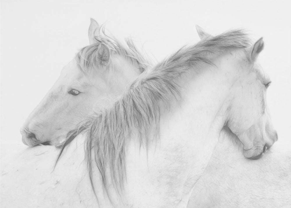 Wall Art Horses by Marie-anne Stas-canvas-DECOROLALA
