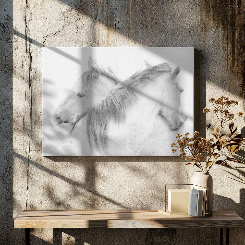 Wall Art Horses by Marie-anne Stas-canvas-DECOROLALA