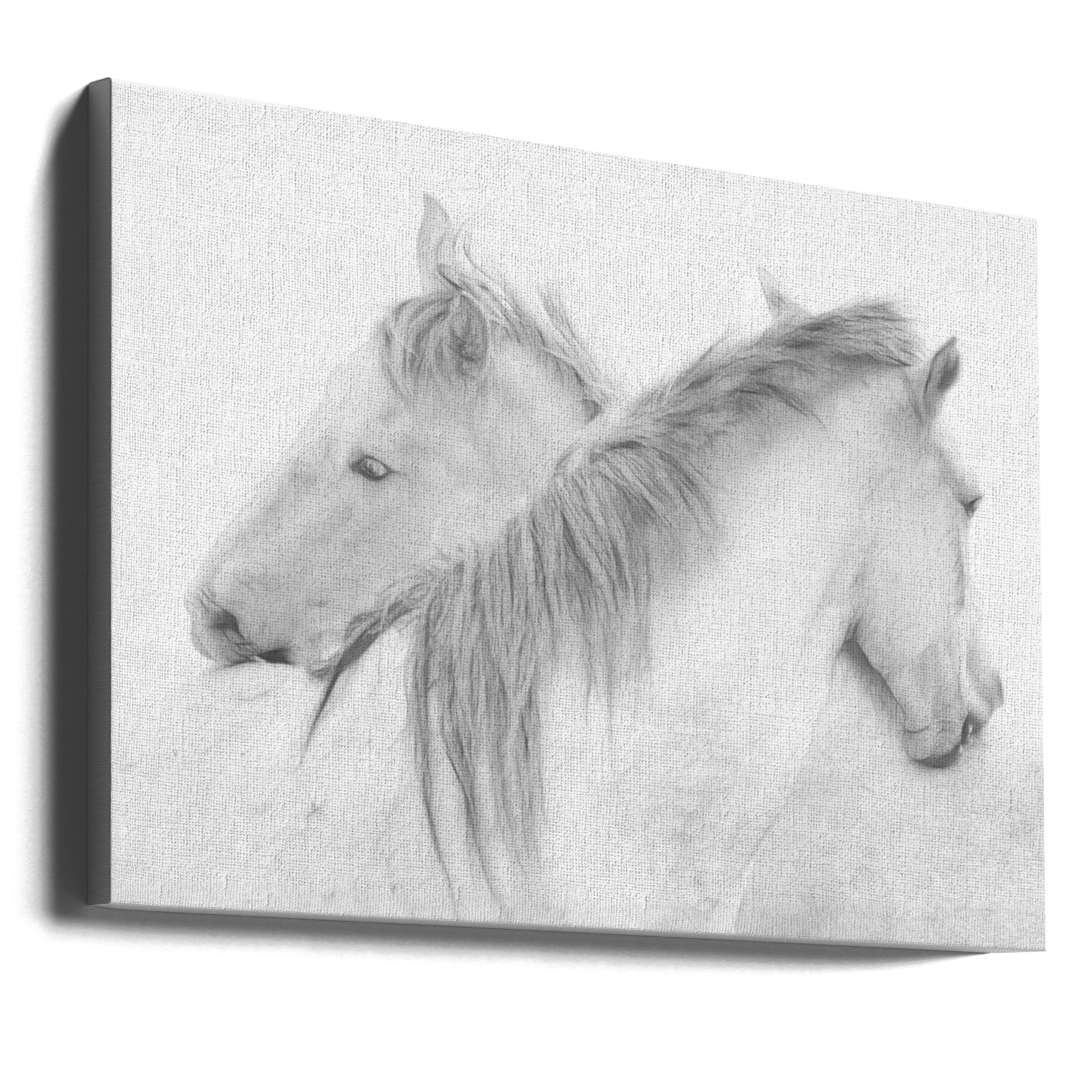 Wall Art Horses by Marie-anne Stas-canvas-DECOROLALA