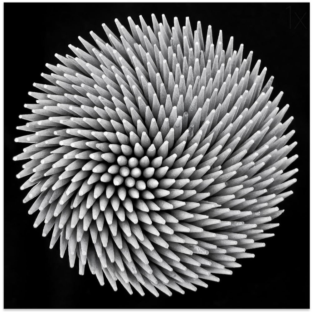 Wall Art Hypnosis by Giorgio Toniolo-canvas-DECOROLALA