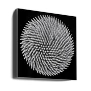 Wall Art Hypnosis by Giorgio Toniolo-canvas-DECOROLALA