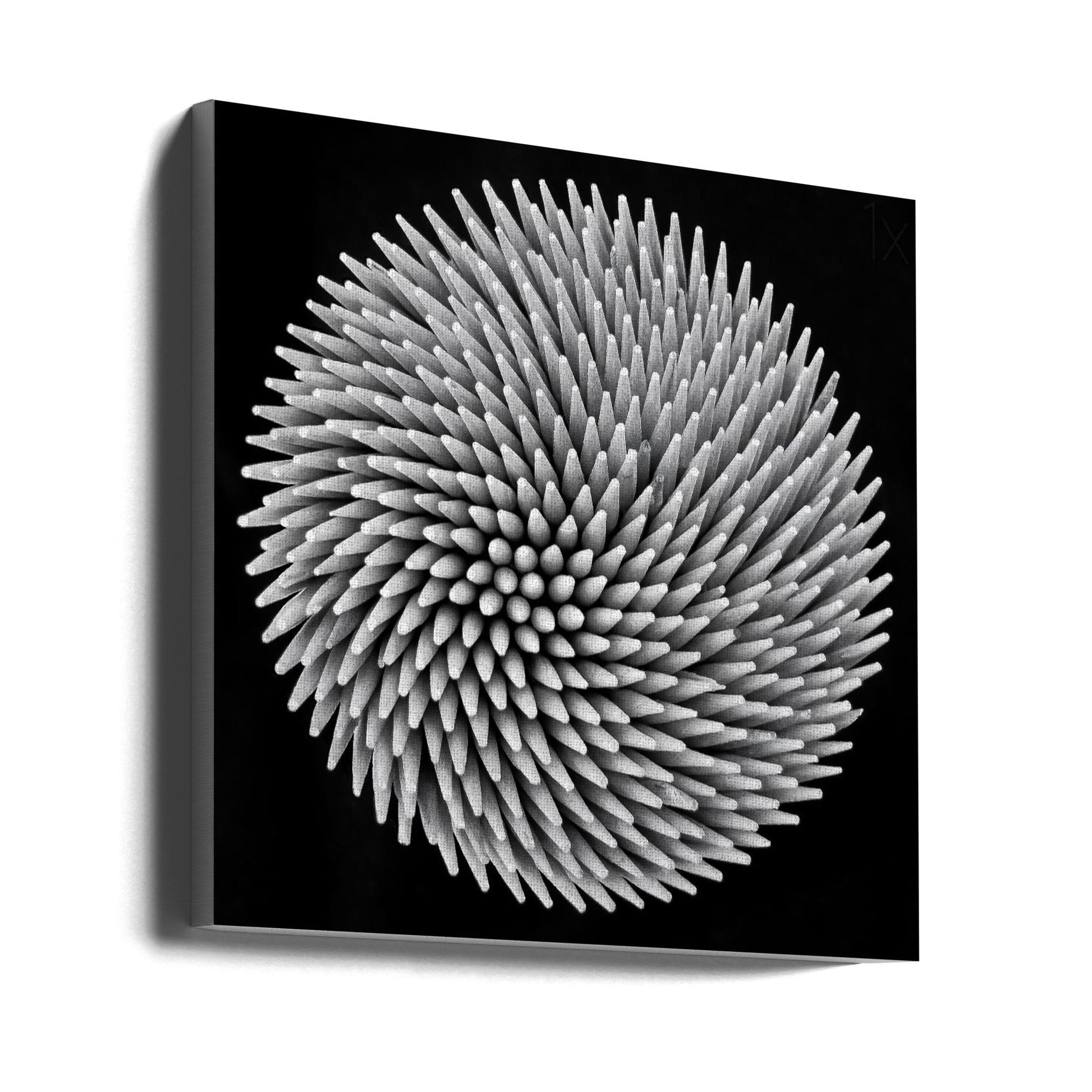 Wall Art Hypnosis by Giorgio Toniolo-canvas-DECOROLALA