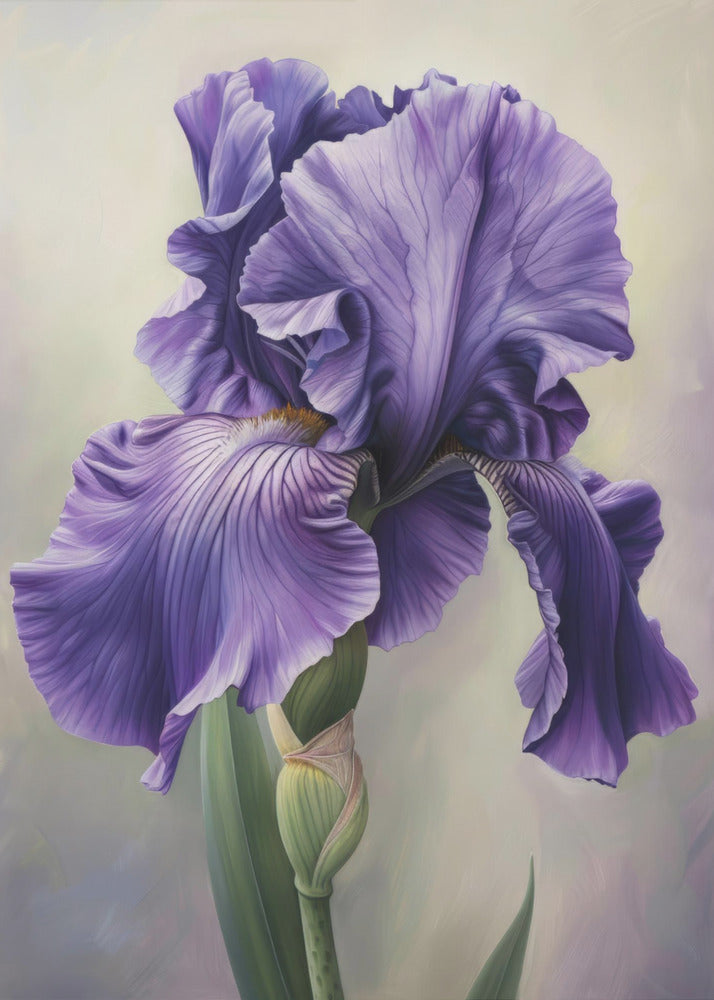 Wall Art Iris FL 113 by Bilge Paksoylu-canvas-DECOROLALA