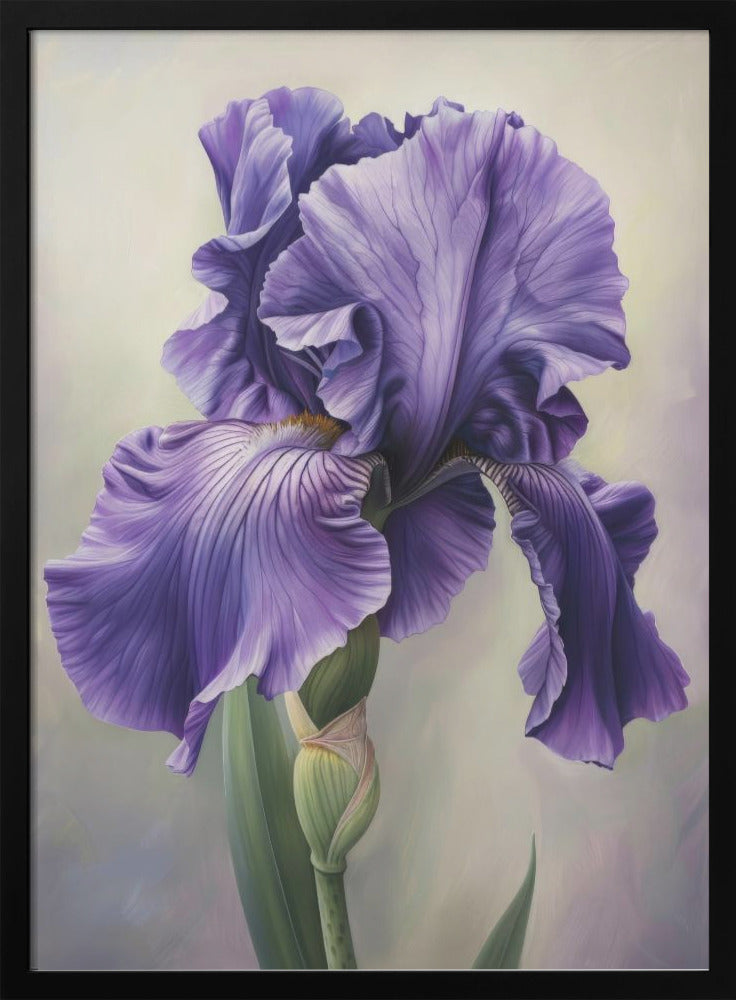 Wall Art Iris FL 113 by Bilge Paksoylu-canvas-DECOROLALA