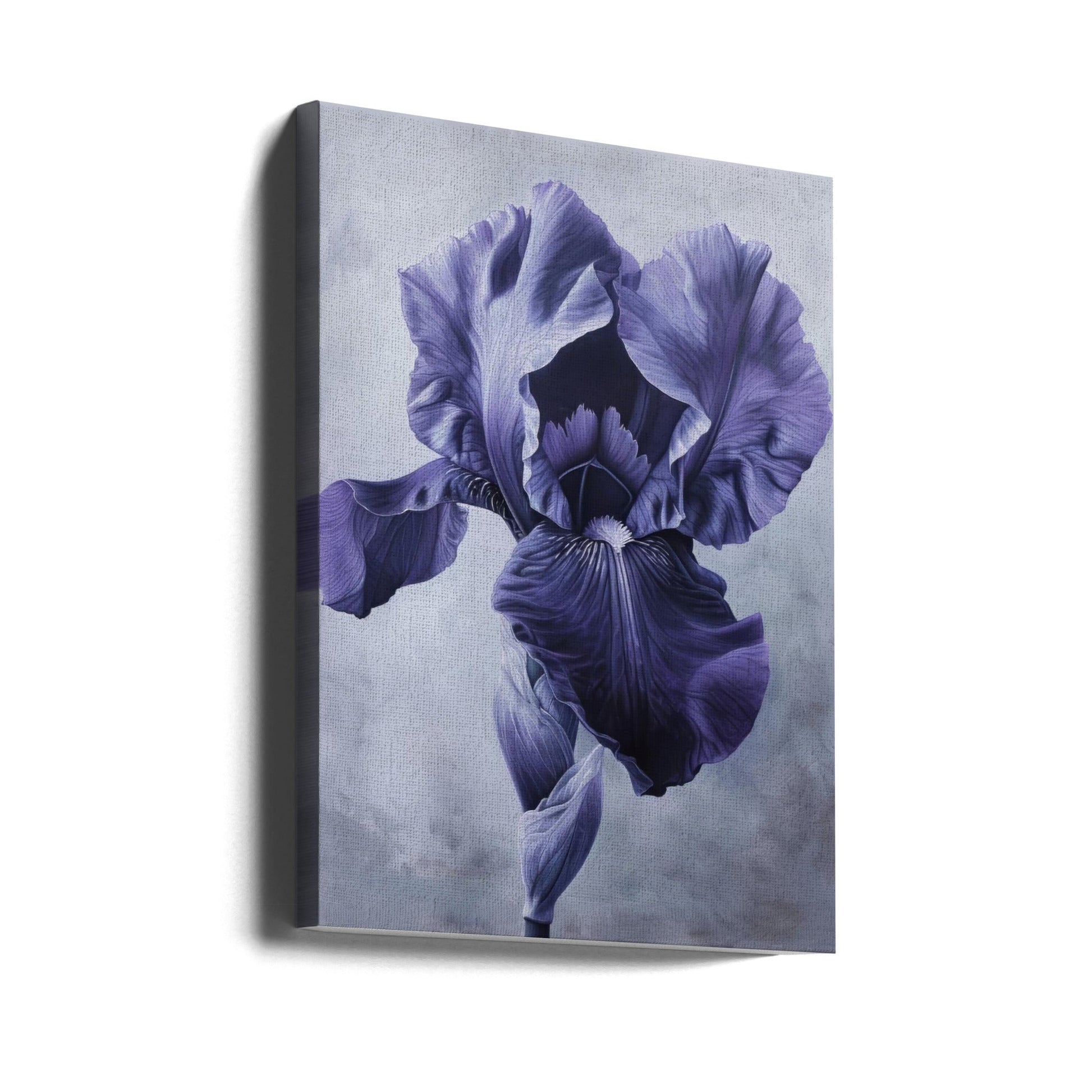 Wall Art Iris FL 95 by Bilge Paksoylu-canvas-DECOROLALA
