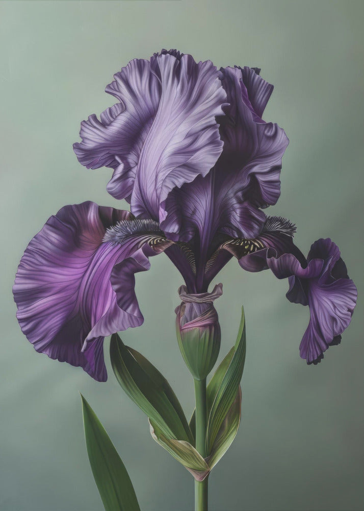 Wall Art Iris Fl 10 by Bilge Paksoylu-canvas-DECOROLALA