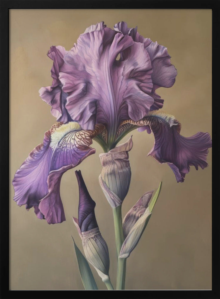 Wall Art Iris Fl 101 by Bilge Paksoylu-canvas-DECOROLALA