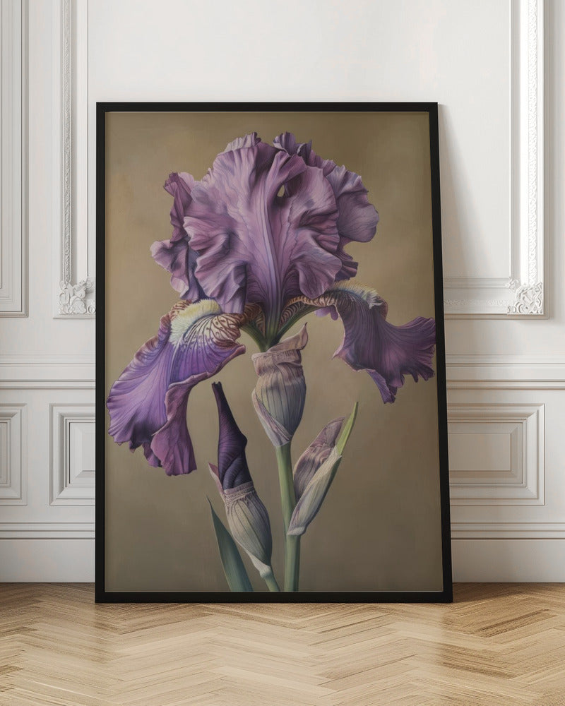 Wall Art Iris Fl 101 by Bilge Paksoylu-canvas-DECOROLALA