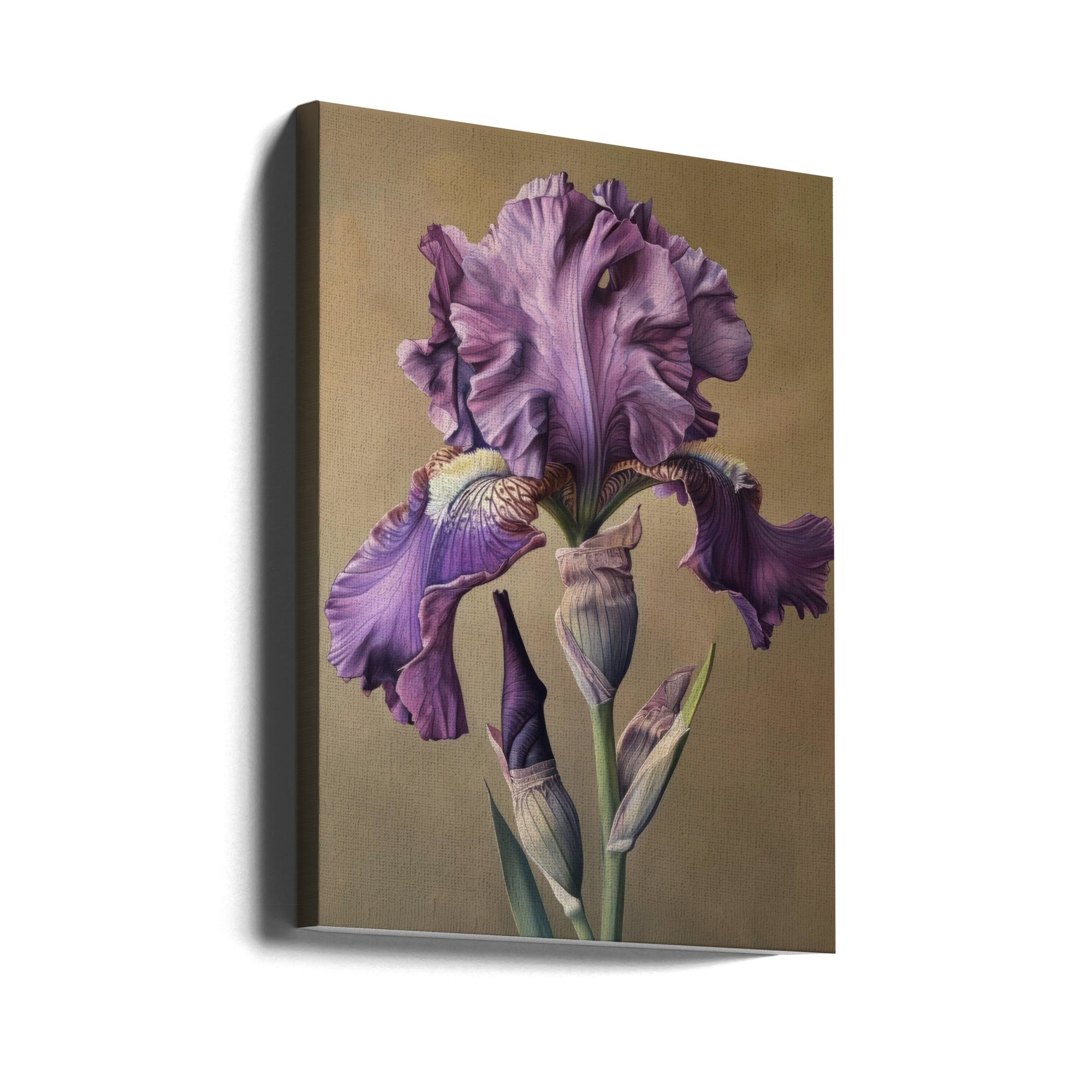 Wall Art Iris Fl 101 by Bilge Paksoylu-canvas-DECOROLALA