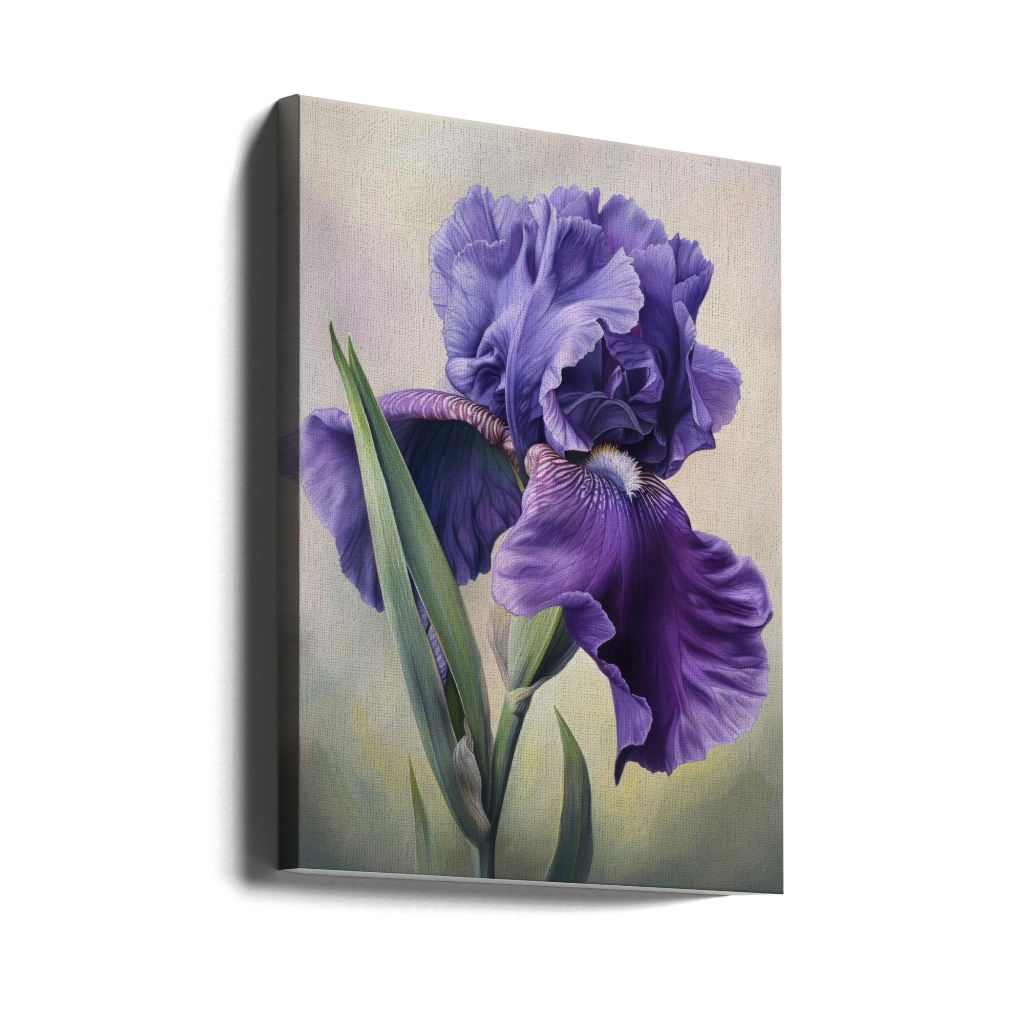 Wall Art Iris Fl 110 by Bilge Paksoylu-canvas-DECOROLALA