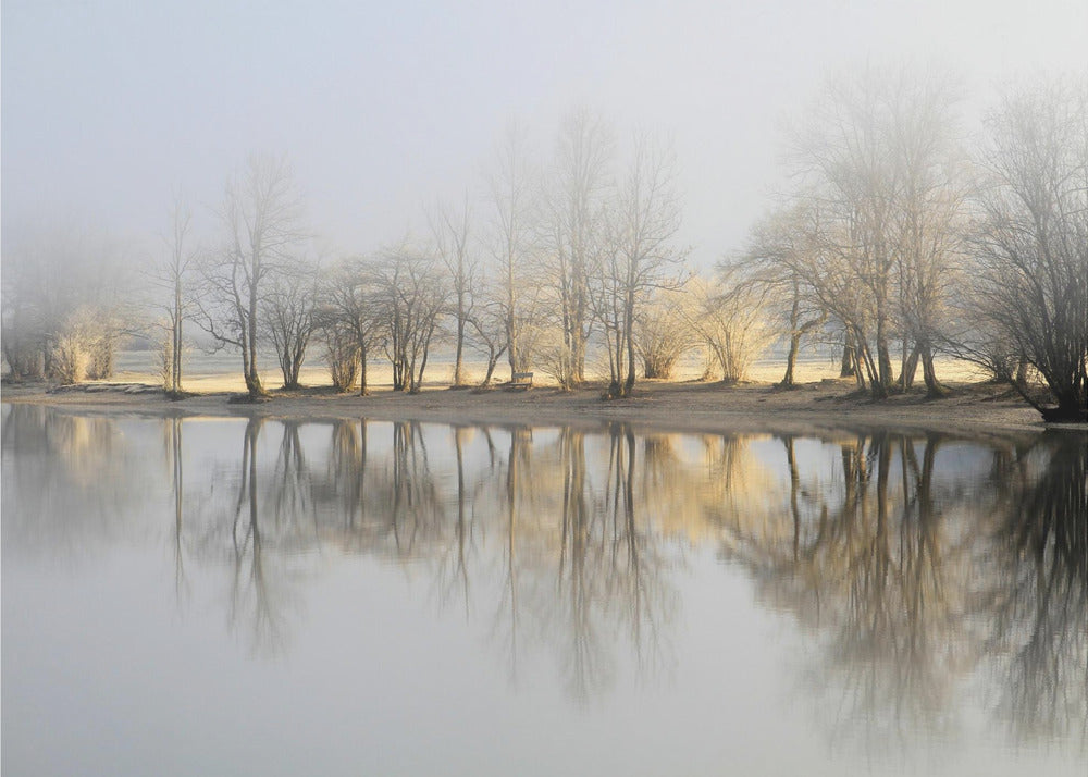 Wall Art January Morning Canvas Print-Canvas Print-DECOROLALA