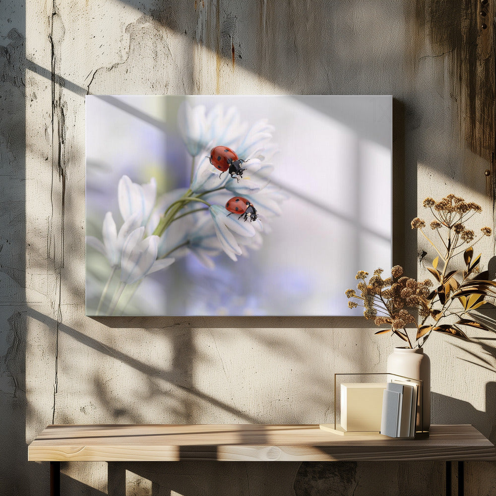 Wall Art Ladybirds Canvas Print by Ellen van Deelen-Canvas Print-DECOROLALA