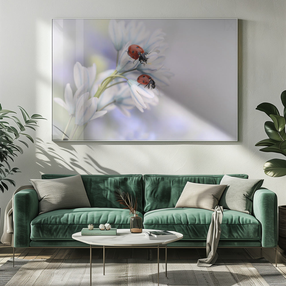 Wall Art Ladybirds Canvas Print by Ellen van Deelen-Canvas Print-DECOROLALA