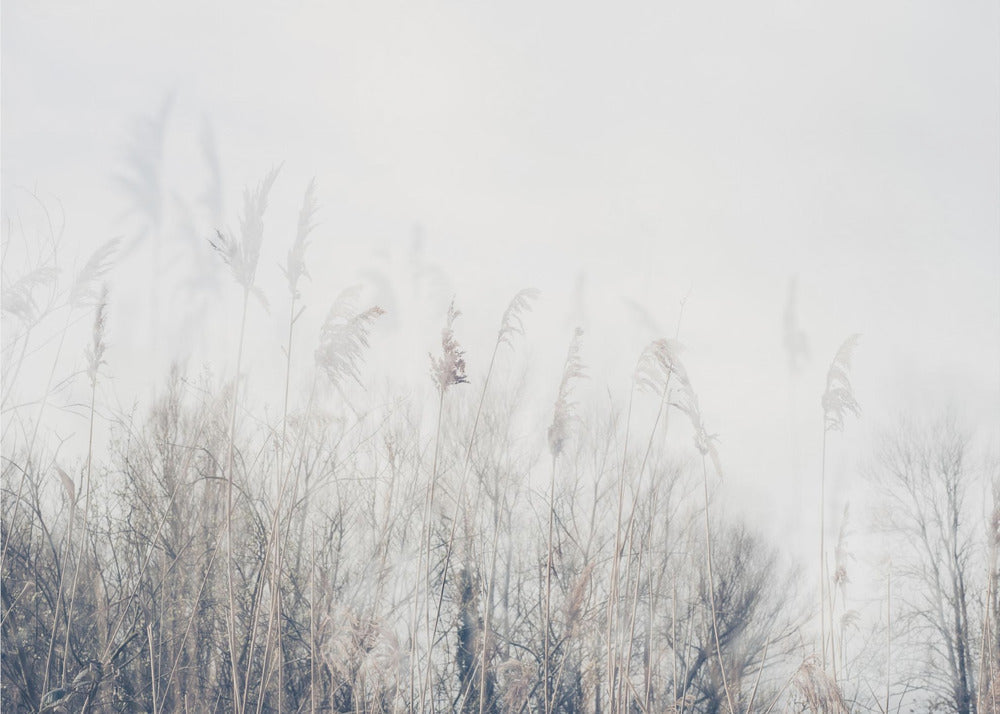 Wall Art Landscape Canvas Print - Reeds and Grass-Canvas Print-DECOROLALA