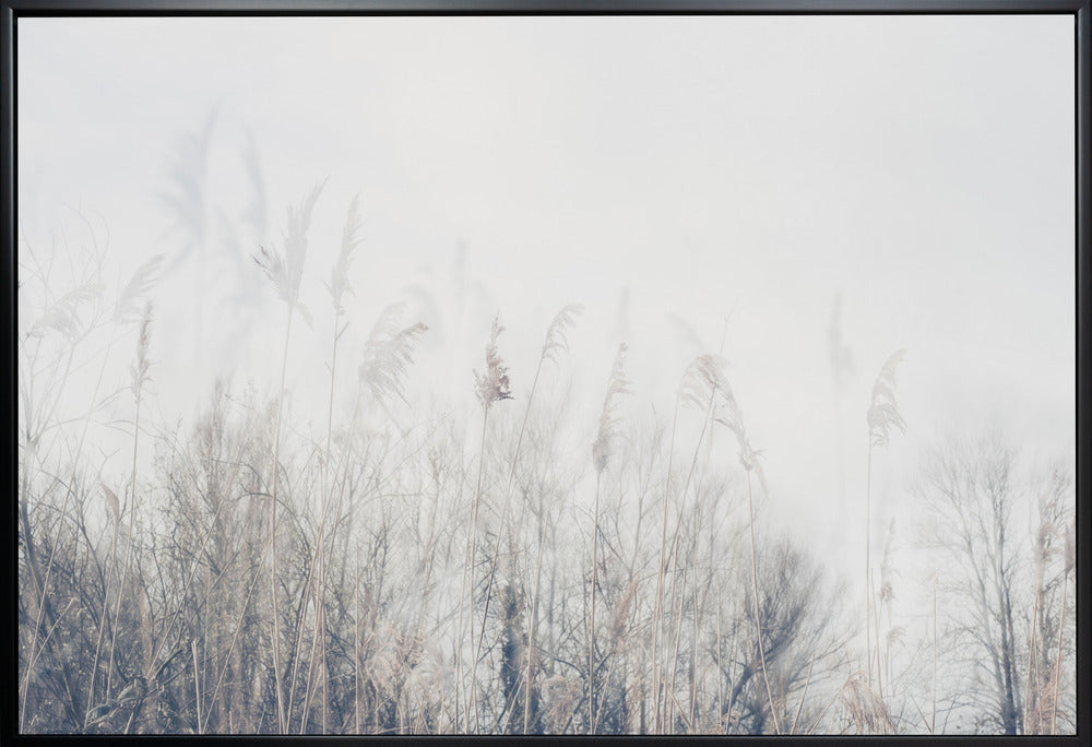 Wall Art Landscape Canvas Print - Reeds and Grass-Canvas Print-DECOROLALA