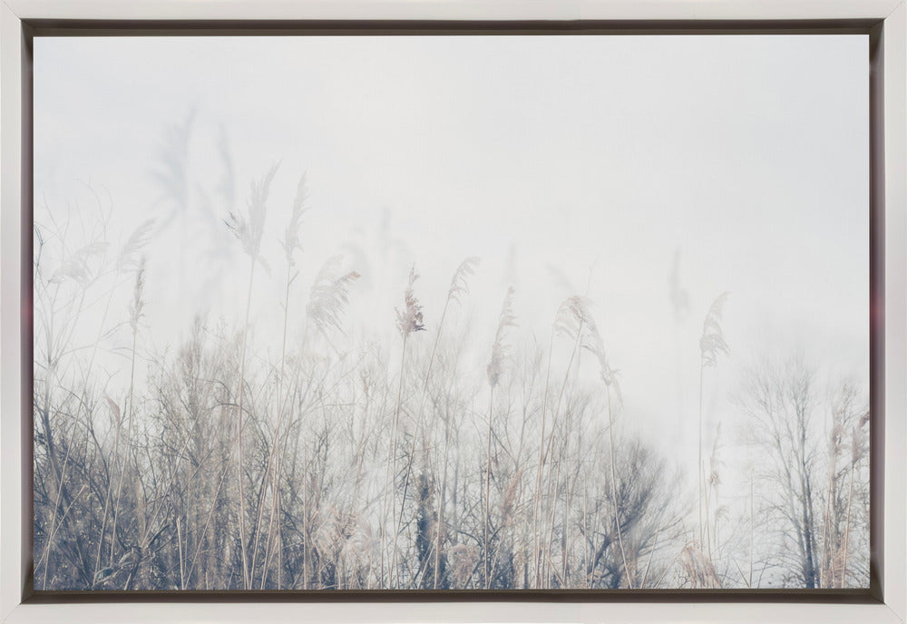 Wall Art Landscape Canvas Print - Reeds and Grass-Canvas Print-DECOROLALA