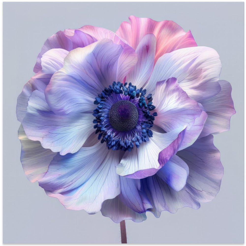 Wall Art Lila Macro 6 by Bilge Paksoylu-canvas-DECOROLALA