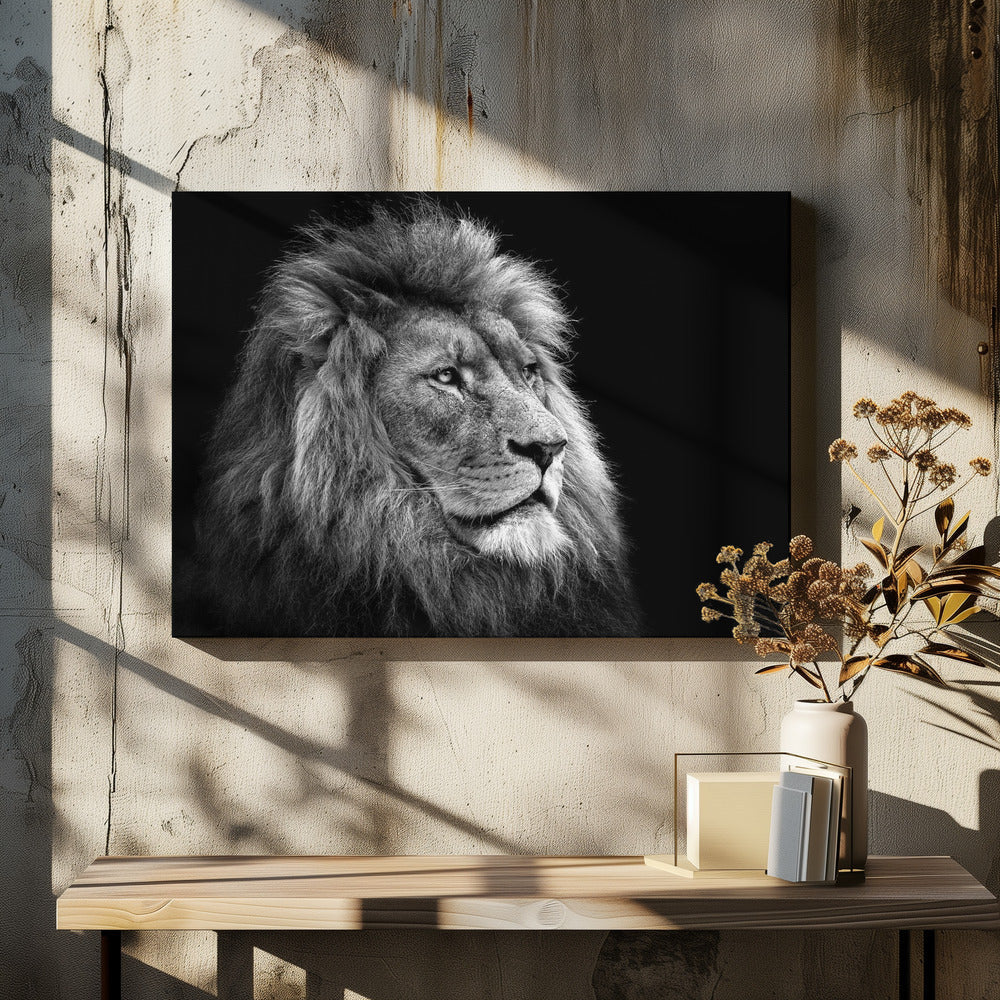Wall Art Lion by Christian Meermann-canvas-DECOROLALA