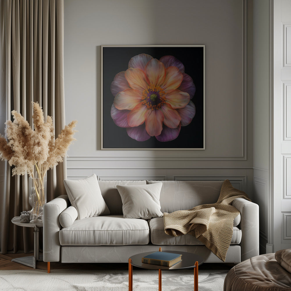 Wall Art Macro Fl On Blk 20 by Bilge Paksoylu-canvas-DECOROLALA